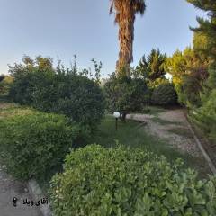 خرید ویلا 90 متری 2 خواب در نوشهر خرید ویلا 90 متری 2 خواب در نوشهر